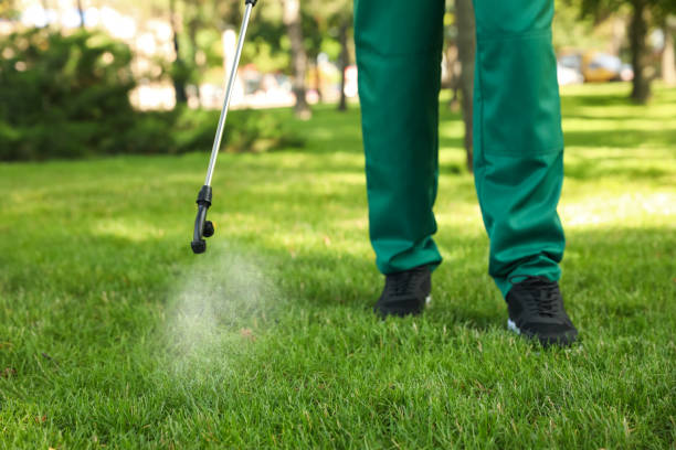 Flea Control Services in Montclair State University, NJ