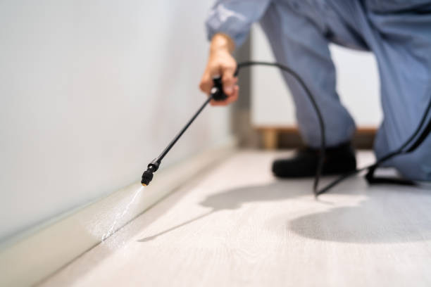 Flea Control Services in Montclair State University, NJ