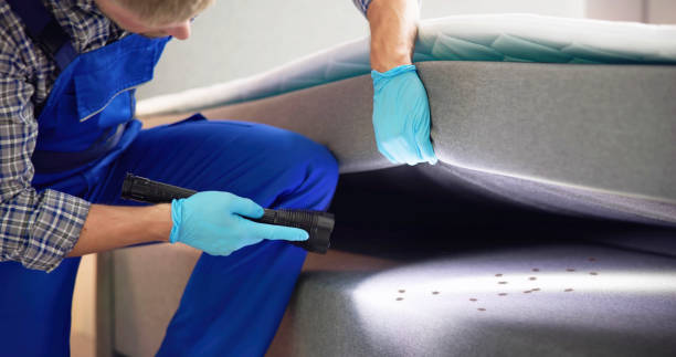 Professional Pest Control in Montclair State University, NJ