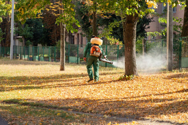 Best Insect Control  in Montclair State University, NJ