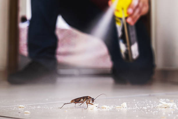 Best Emergency Pest Control  in Montclair State University, NJ