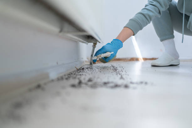 Best Spider Control Near Me  in Montclair State University, NJ